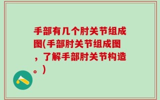 手部有几个肘关节组成图(手部肘关节组成图，了解手部肘关节构造。)