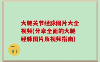 大腿关节经脉图片大全视频(分享全面的大腿经脉图片及视频指南)