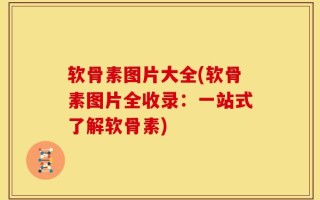 软骨素图片大全(软骨素图片全收录：一站式了解软骨素)