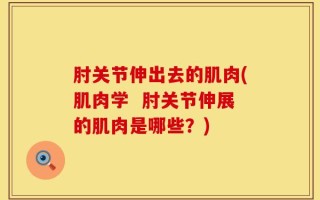肘关节伸出去的肌肉(肌肉学  肘关节伸展的肌肉是哪些？)