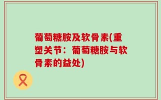 葡萄糖胺及软骨素(重塑关节：葡萄糖胺与软骨素的益处)