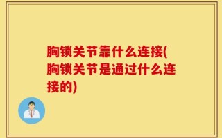 胸锁关节靠什么连接(胸锁关节是通过什么连接的)