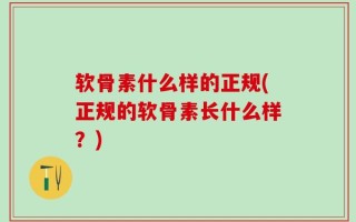 软骨素什么样的正规(正规的软骨素长什么样？)