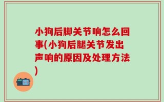 小狗后脚关节响怎么回事(小狗后腿关节发出声响的原因及处理方法)