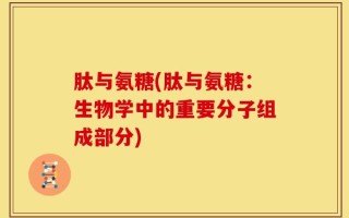肽与氨糖(肽与氨糖：生物学中的重要分子组成部分)