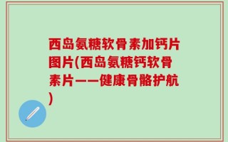 西岛氨糖软骨素加钙片图片(西岛氨糖钙软骨素片——健康骨骼护航)