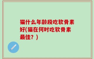 猫什么年龄段吃软骨素好(猫在何时吃软骨素最佳？)