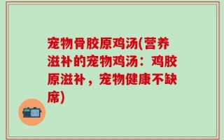 宠物骨胶原鸡汤(营养滋补的宠物鸡汤：鸡胶原滋补，宠物健康不缺席)
