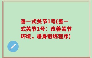 善一式关节1号(善一式关节1号：改善关节环境，暖身锻炼程序)