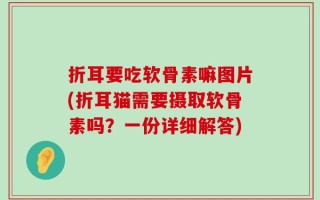 折耳要吃软骨素嘛图片(折耳猫需要摄取软骨素吗？一份详细解答)