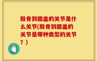 股骨到膝盖的关节是什么关节(股骨到膝盖的关节是哪种类型的关节？)