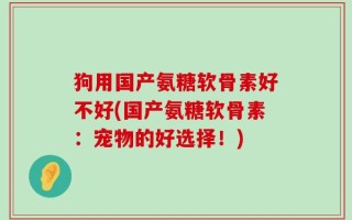 狗用国产氨糖软骨素好不好(国产氨糖软骨素：宠物的好选择！)