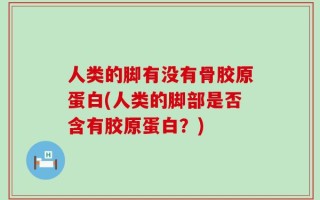 人类的脚有没有骨胶原蛋白(人类的脚部是否含有胶原蛋白？)