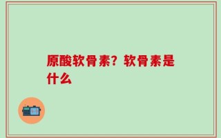 原酸软骨素？软骨素是什么