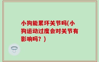 小狗能累坏关节吗(小狗运动过度会对关节有影响吗？)
