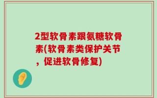 2型软骨素跟氨糖软骨素(软骨素类保护关节，促进软骨修复)