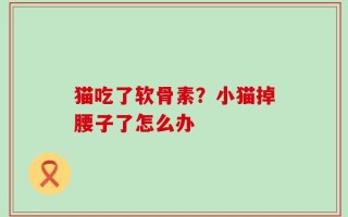 猫吃了软骨素？小猫掉腰子了怎么办