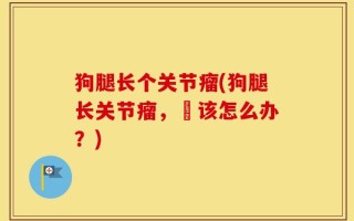狗腿长个关节瘤(狗腿长关节瘤，牠该怎么办？)