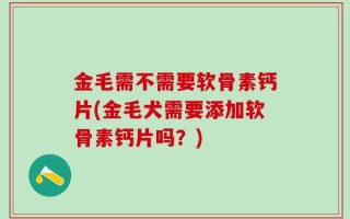金毛需不需要软骨素钙片(金毛犬需要添加软骨素钙片吗？)