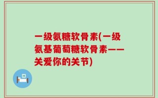 一级氨糖软骨素(一级氨基葡萄糖软骨素——关爱你的关节)
