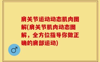 肩关节运动动态肌肉图解(肩关节肌肉动态图解，全方位指导你做正确的肩部运动)