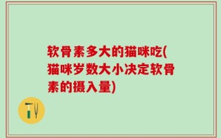 软骨素多大的猫咪吃(猫咪岁数大小决定软骨素的摄入量)