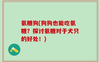 氨糖狗(狗狗也能吃氨糖？探讨氨糖对于犬只的好处！)