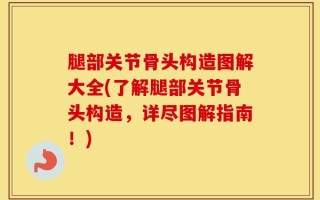 腿部关节骨头构造图解大全(了解腿部关节骨头构造，详尽图解指南！)