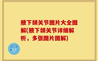 腋下颌关节图片大全图解(腋下颌关节详细解析，多张图片图解)