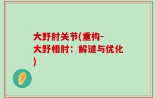 大野肘关节(重构- 大野相肘：解谜与优化)
