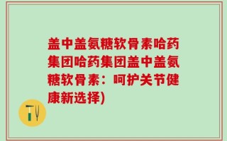 盖中盖氨糖软骨素哈药集团哈药集团盖中盖氨糖软骨素：呵护关节健康新选择)