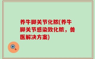 养牛脚关节化脓(养牛脚关节感染致化脓，兽医解决方案)