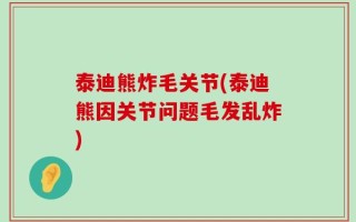 泰迪熊炸毛关节(泰迪熊因关节问题毛发乱炸)
