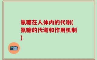 氨糖在人体内的代谢(氨糖的代谢和作用机制)
