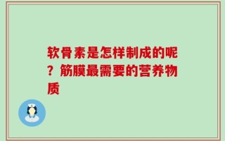 软骨素是怎样制成的呢？筋膜最需要的营养物质