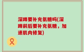 深蹲要补充氨糖吗(深蹲前后要补充氨糖，加速肌肉修复)