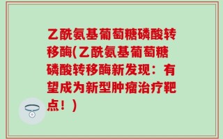 乙酰氨基葡萄糖磷酸转移酶(乙酰氨基葡萄糖磷酸转移酶新发现：有望成为新型肿瘤治疗靶点！)