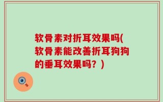 软骨素对折耳效果吗(软骨素能改善折耳狗狗的垂耳效果吗？)