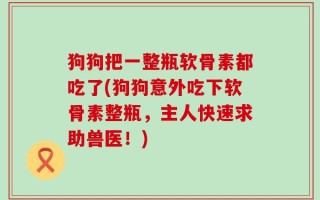 狗狗把一整瓶软骨素都吃了(狗狗意外吃下软骨素整瓶，主人快速求助兽医！)