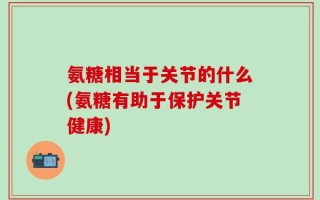 氨糖相当于关节的什么(氨糖有助于保护关节健康)