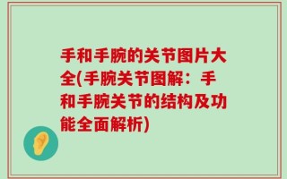 手和手腕的关节图片大全(手腕关节图解：手和手腕关节的结构及功能全面解析)