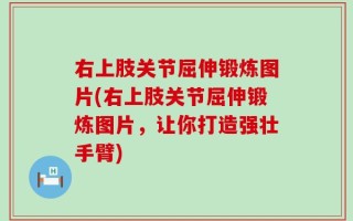 右上肢关节屈伸锻炼图片(右上肢关节屈伸锻炼图片，让你打造强壮手臂)
