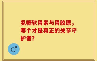 氨糖软骨素与骨胶原，哪个才是真正的关节守护者？