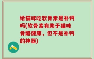 给猫咪吃软骨素是补钙吗(软骨素有助于猫咪骨骼健康，但不是补钙的神器)