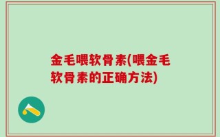 金毛喂软骨素(喂金毛软骨素的正确方法)