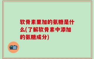 软骨素里加的氨糖是什么(了解软骨素中添加的氨糖成分)