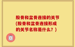 股骨和盆骨连接的关节(股骨和盆骨连接形成的关节名称是什么？)
