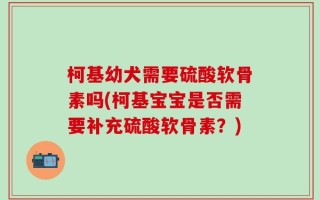 柯基幼犬需要硫酸软骨素吗(柯基宝宝是否需要补充硫酸软骨素？)