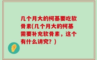 几个月大的柯基要吃软骨素(几个月大的柯基需要补充软骨素，这个有什么讲究？)