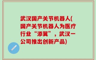 武汉国产关节机器人(国产关节机器人为医疗行业“添翼”，武汉一公司推出创新产品)